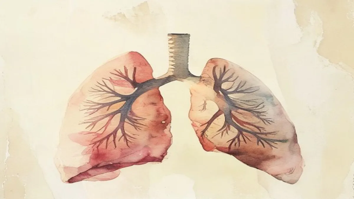 Soft watercolor illustration of human lungs.